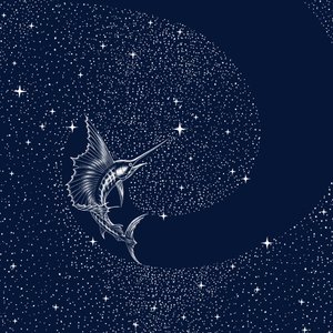 Taivaallinen purjekala tekijältä Alirıza ÇAKIR