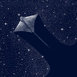 Kosminen kotka-rausku tekijältä Alirıza ÇAKIR