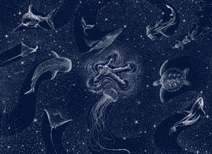 Kosminen meren unelma tekijältä Alirıza ÇAKIR