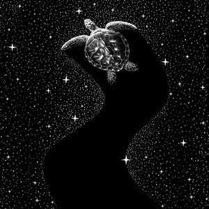 Kosminen merikilpikonna tekijältä Alirıza ÇAKIR