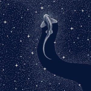 Kosminen hai tekijältä Alirıza ÇAKIR