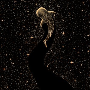 Kosminen valashai tekijältä Alirıza ÇAKIR