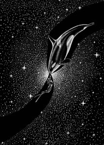 Tähtien valaisema valaiden syleily tekijältä Alirıza ÇAKIR