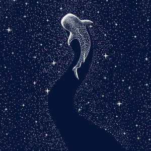 Tähtikuvioinen valashai tekijältä Alirıza ÇAKIR