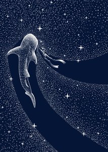 Valashain kosminen matka tekijältä Alirıza ÇAKIR