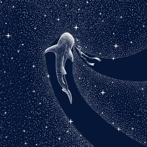 Valashain galaksimatka tekijältä Alirıza ÇAKIR