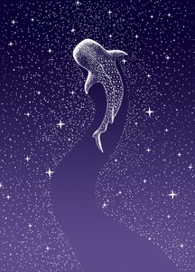 Uinti valashaiden keskellä tekijältä Alirıza ÇAKIR