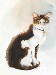 Dave the Saudi Cat, 2019 (akvarelli) tekijältä Alison Cooper
