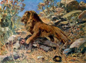 David Livingstone, Livingstone ja leijona (väri litho)