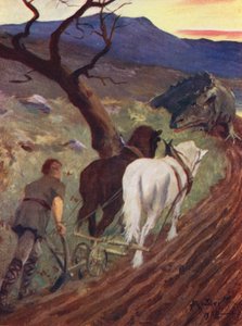 Metsän vahvan miehen poika (värilitro) tekijältä Allan Stewart