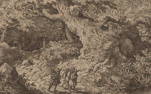 Paksu metsä, luultavasti n. 16451656. tekijältä Allart van Everdingen