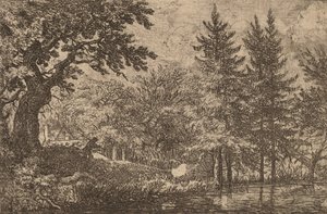 Fir Trees at the Water, luultavasti n. 16451656. tekijältä Allart van Everdingen