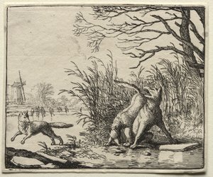 Reynard the Fox: Suden uusi syytös tekijältä Allart van Everdingen