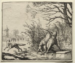 Reynard the Fox: Suden uusi syytös. tekijältä Allart van Everdingen