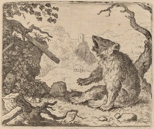 The Bear Sent as Messenger, luultavasti n. 16451656. tekijältä Allart van Everdingen