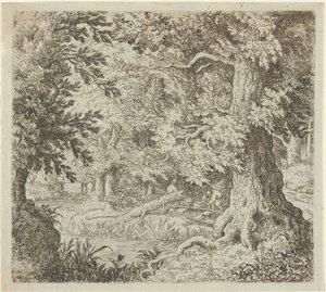 Puro metsässä, 1600-luku. tekijältä Allart van Everdingen