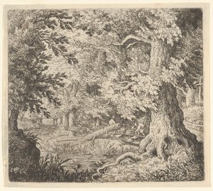 Puro metsässä, 1600-luku. tekijältä Allart van Everdingen
