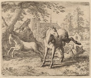 Tamma ja susi, luultavasti n. 16451656. tekijältä Allart van Everdingen