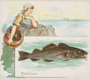 Turska, American Watersin Fish-sarjasta N39 Allen & Ginter -savukkeille, 1889.