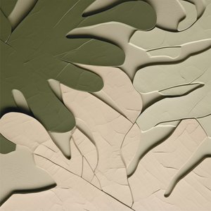 Luonnonmukainen Leaf Relief