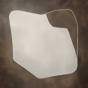 Orgaaninen minimalistinen muoto