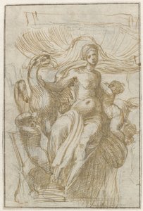 Leda of Venus (?) linnulla ja putilla kuoreen