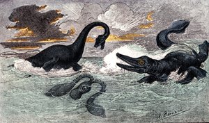 Lias-kausi (alempi jura): plesiosaurukset ja ikthyosaurus, luonnollinen luomus ja elävät olennot (Jules Renegade) Piirustus A. Demarle. 1885
