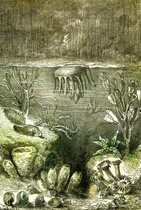 Prehistoire-Terre et Mers: Silurian aikakauden alku (J. Rengade. Piirustus Demarle. 1885 tekijältä Alphonse Demarle