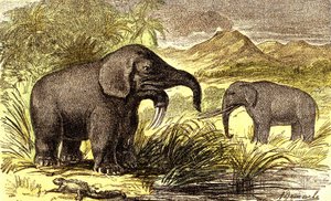 Esihistoria-mioseenikausi: Oikealta vasemmalle: Dinotherum ja Mastodonte. Luonnollinen luomus ja elävät olennot. Piirustus A. Demarle. 1885