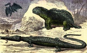 Esihistoria - Jurassic: Teleosaurus ja Hyleosaurus. Pterodactyl yläkerrassa. Luonnollinen luomus ja elävät olennot. Piirustus A. Demarle. 1885