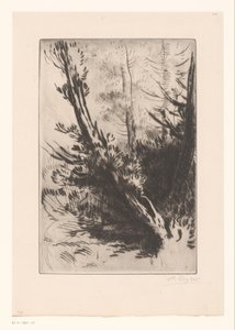 puut tekijältä Alphonse Legros (signed by artist)