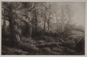 Metsämaatutkimus tekijältä Alphonse Legros