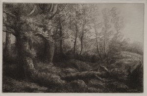 Metsämaatutkimus. tekijältä Alphonse Legros