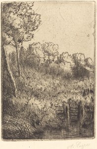 Marnen varrella Marnessa. tekijältä Alphonse Legros