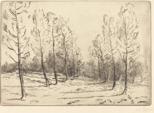 Poppelien katu tekijältä Alphonse Legros
