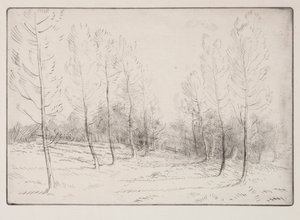 Poppelien katu. tekijältä Alphonse Legros