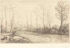 Koivut: veden reuna aamuvalossa tekijältä Alphonse Legros