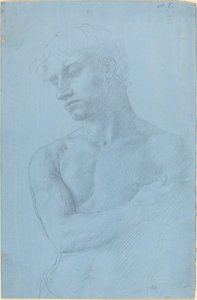 Bust de Manfinnish nu tekijältä Alphonse Legros