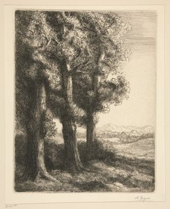 Metsän kolkka tekijältä Alphonse Legros