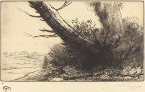 Polun kulma tekijältä Alphonse Legros