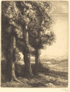 Puun kulma (Coin d