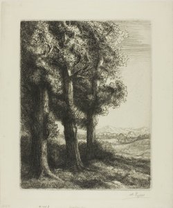 Puun reuna tekijältä Alphonse Legros
