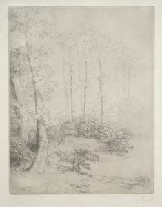 Veden reuna tekijältä Alphonse Legros
