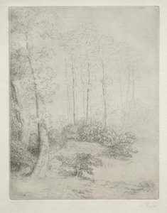 Veden reuna tekijältä Alphonse Legros
