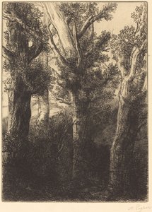 Saksan metsä, Downley. tekijältä Alphonse Legros