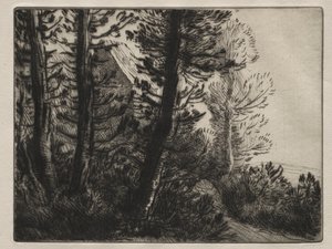 Vartijan talo tekijältä Alphonse Legros
