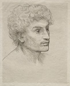 Nuoren miehen pää. tekijältä Alphonse Legros