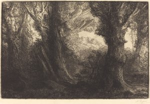 Contevillen metsässä (Dans la foret de Conteville) tekijältä Alphonse Legros