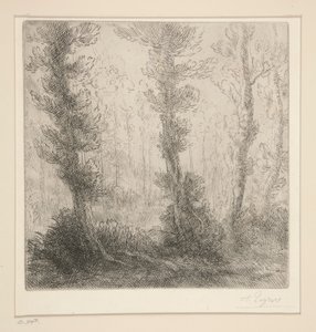 Pikku Järvi tekijältä Alphonse Legros