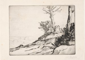 Harjakukkula tekijältä Alphonse Legros